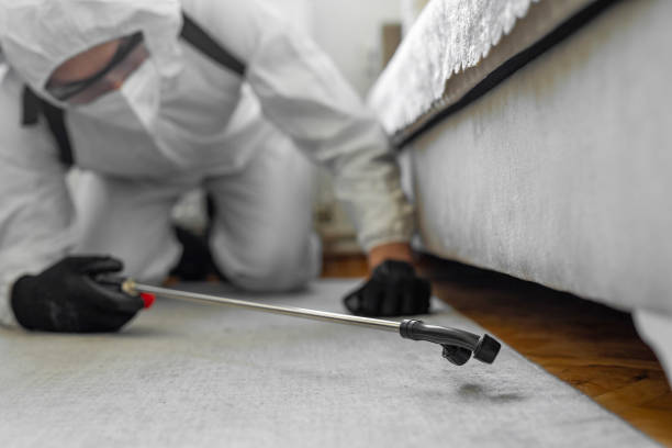 Professional Cockroach Control technician working in Hunter, TN