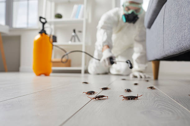 Affordable Cockroach Control solutions in Hunter, TN